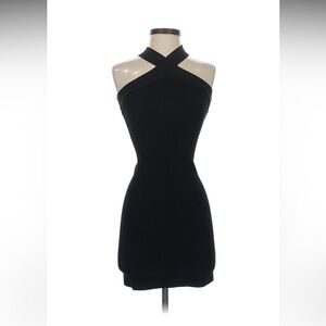 Aritzia Babaton Little Black Dress.